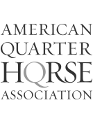 American Quarter Horse Association